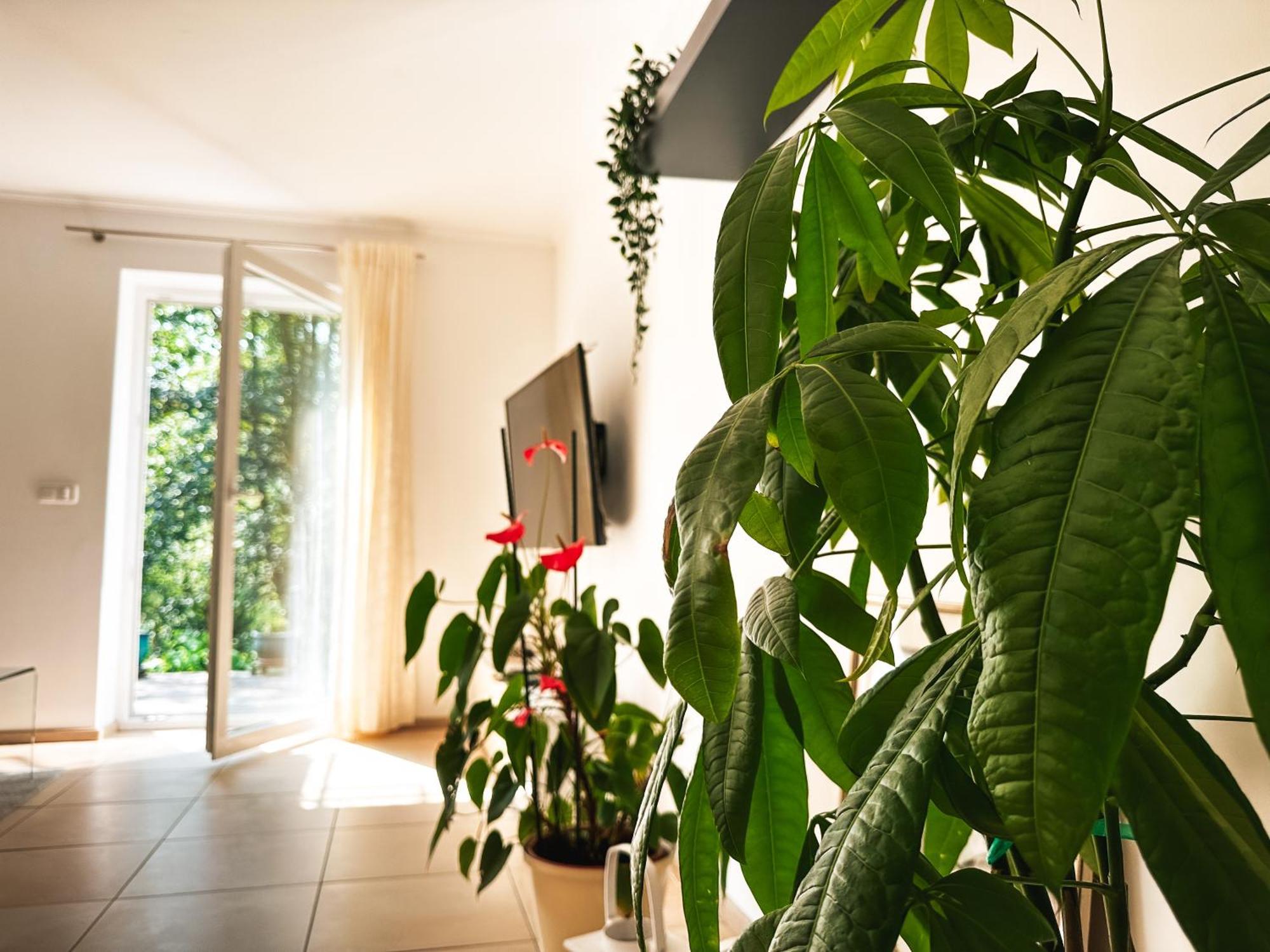 Charging Station Woffelsbach Apartment Simmerath Exterior photo